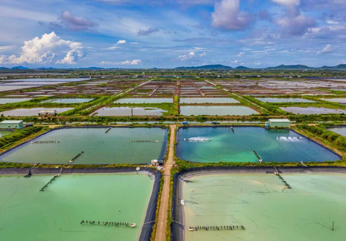 Fish Farming