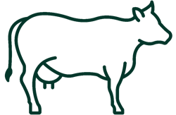 Livestock Farming